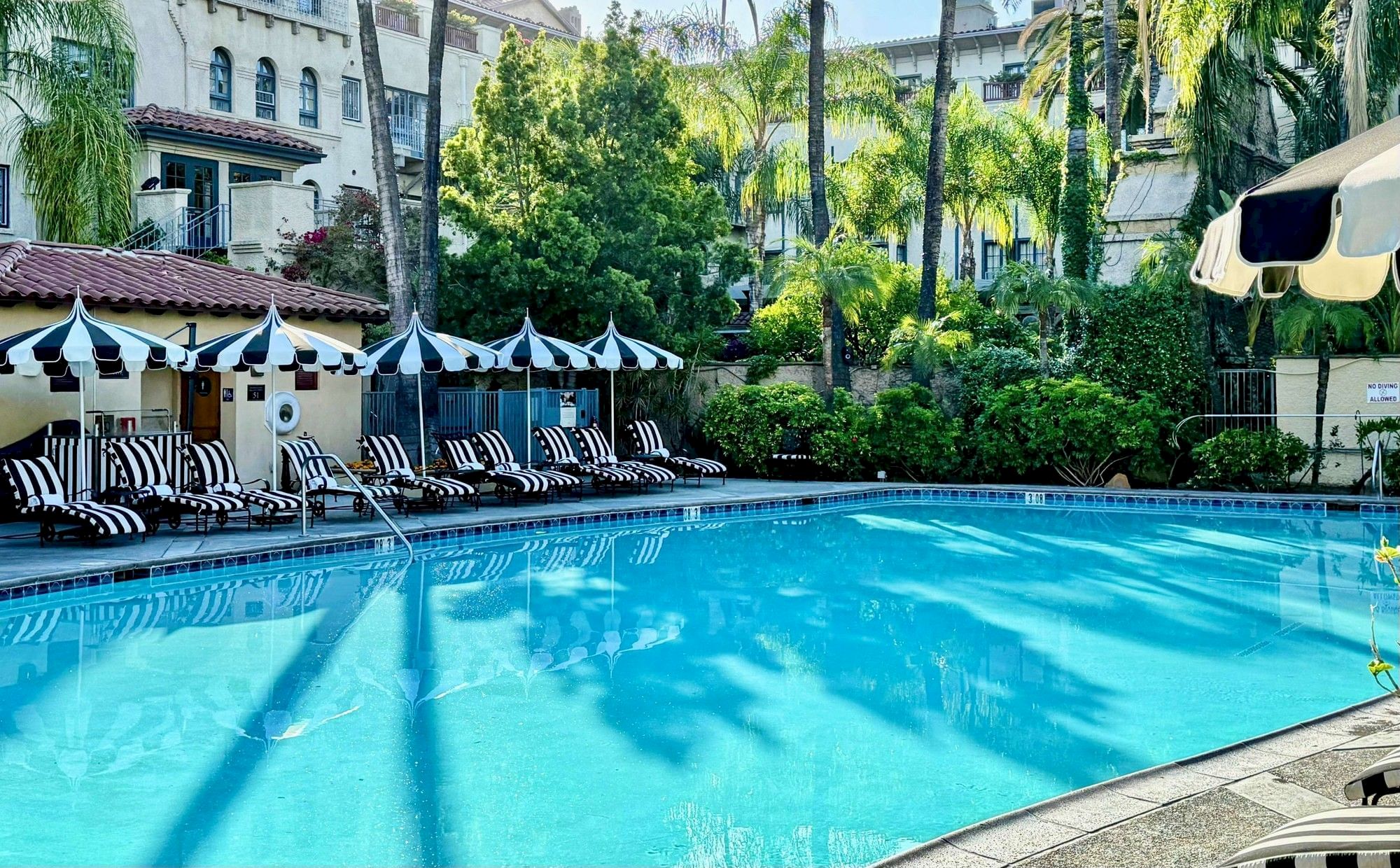 A calm hotel pool scene with blue water, sun loungers and striped umbrellas, lush greenery, and palm trees surrounding the pool area.